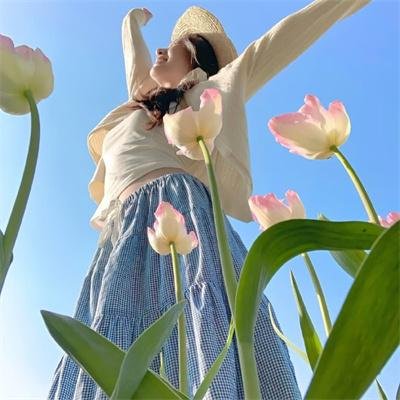 威尔与哈珀：老友公路游